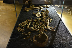 Rijksmuseum van Oudheden 2015 – Skeleton