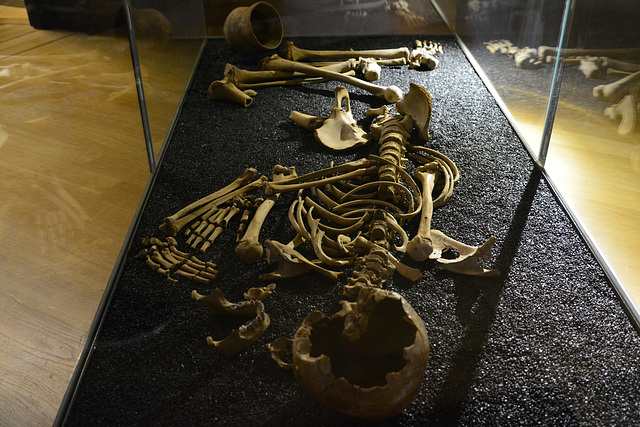 Rijksmuseum van Oudheden 2015 – Skeleton