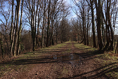 chemin de randonnée