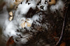 DSCF2707