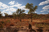 The Kimberley In The Dry Season