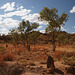 The Kimberley In The Dry Season