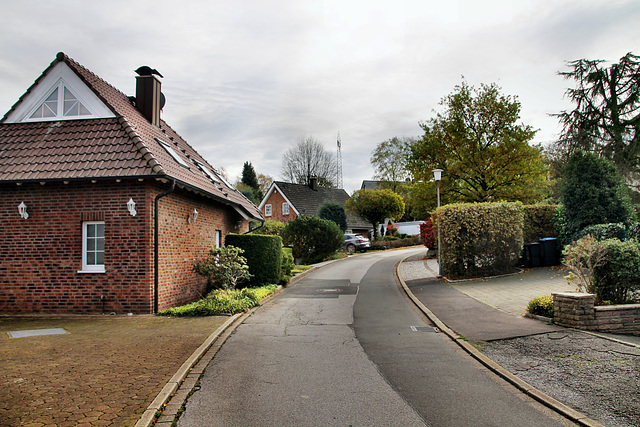 Martin-Luther-Straße (Sprockhövel) / 6.11.2022