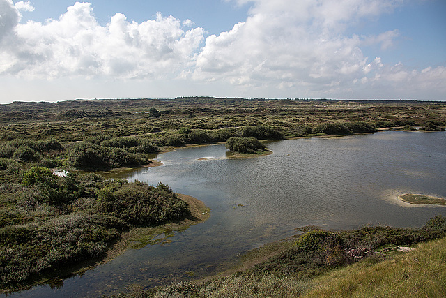 20140912 5225VRAw [NL] Terschelling