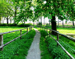 DE - Kerpen - Park of Burg Bergerhausen