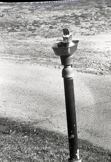 Drinking Fountain