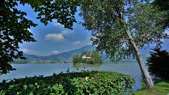 Lauerzersee, Insel Schwanau