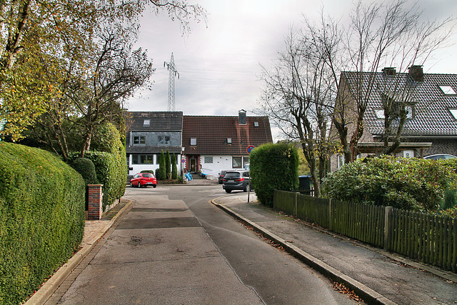 Martin-Luther-Straße (Sprockhövel) / 6.11.2022