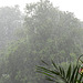thunderstorm   by day-23mm rain