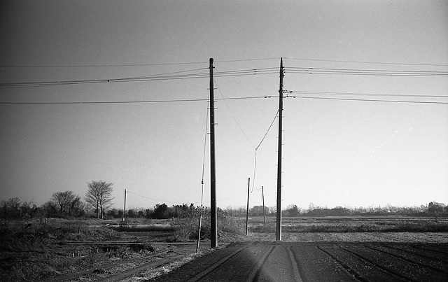 Electricity poles