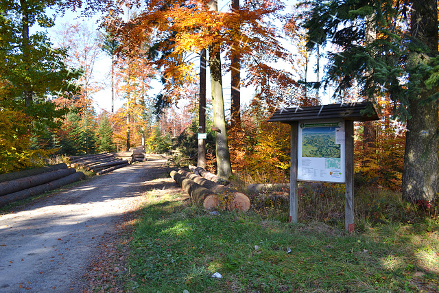 Willkommen im Schwäbisch-Fränkischer Wald