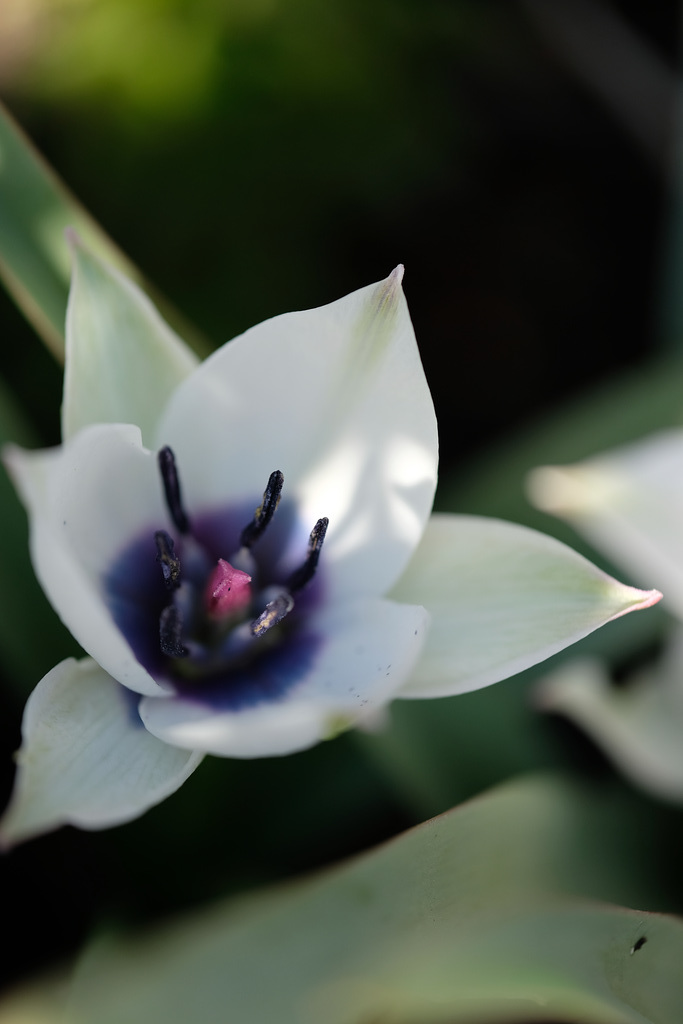 DSCF3774