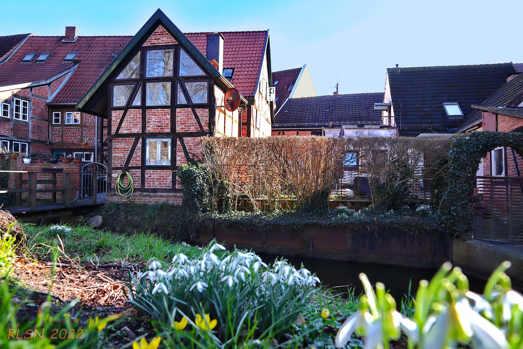 Frühling am Boizenburger Wallgraben