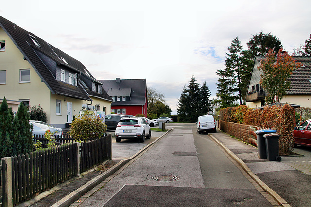 Martin-Luther-Straße (Sprockhövel) / 6.11.2022