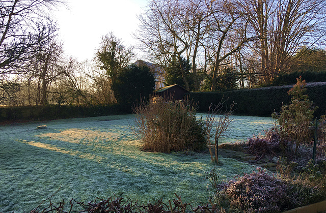 Petite gelée au jardin avec -1°