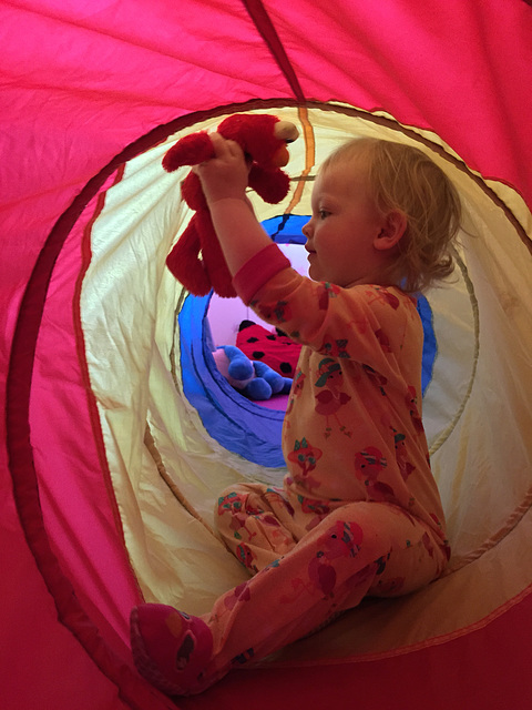 Elmo in the Tunnel