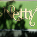 Netty narrowboat