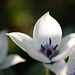 DSCF3776
