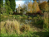 Kirtlington village pond