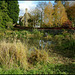 Kirtlington village pond