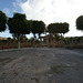 Tarxien Temple Entrance