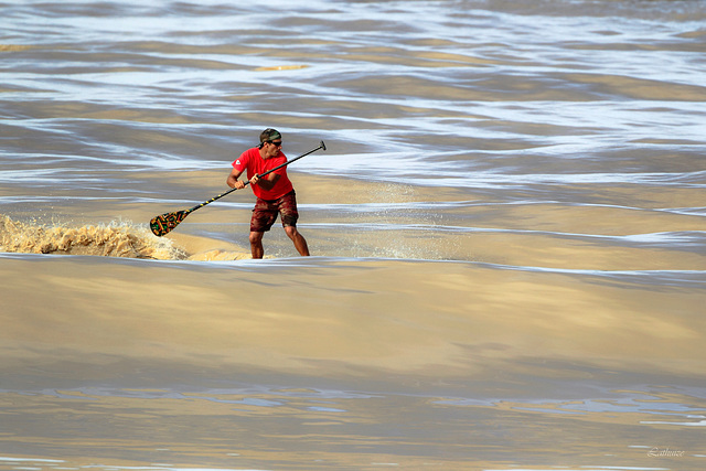 Le surfeur du mascaret.....sur la Dordogne.