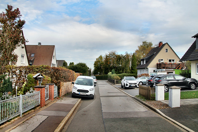 Martin-Luther-Straße (Sprockhövel) / 6.11.2022