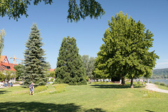 Park