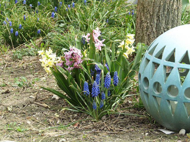 Frühling im Garten