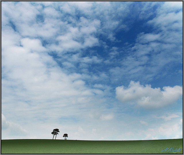 Three Trees