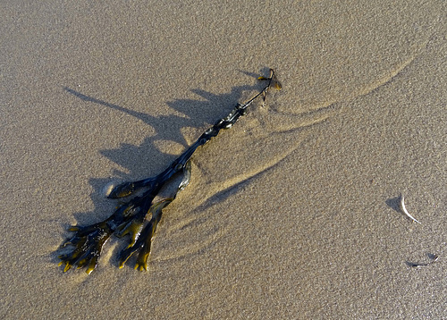 On the beach