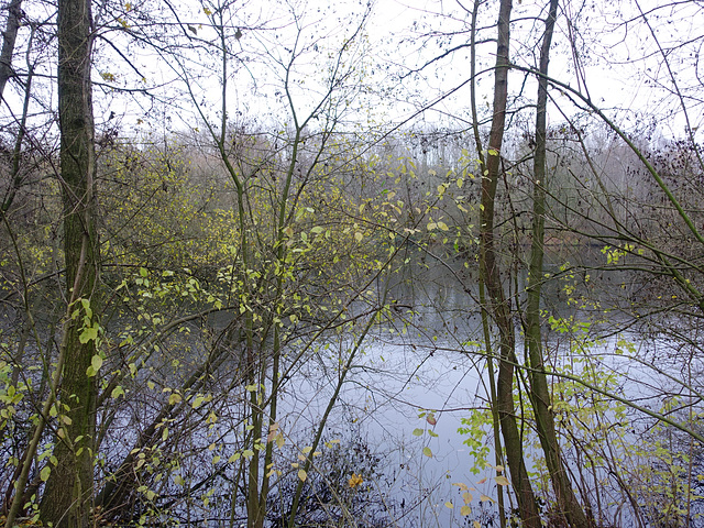 weiher-06937