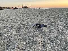 IMG 0969