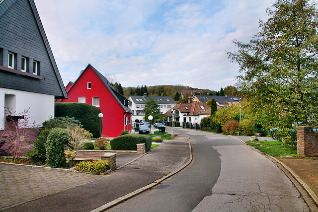 Martin-Luther-Straße (Sprockhövel) / 6.11.2022