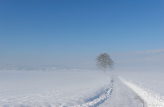 Winterwanderweg im Zürcher Unterland (© Buelipix)