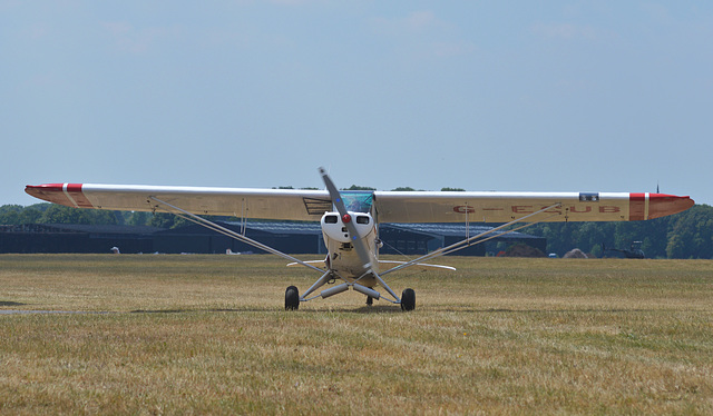 Cub ECUB 1