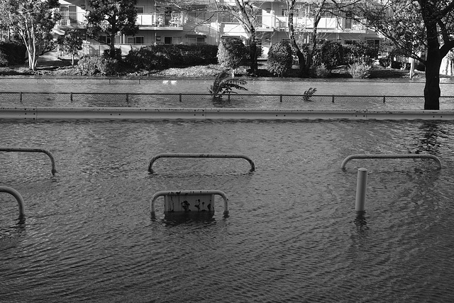 Road and sidewalk are under the water