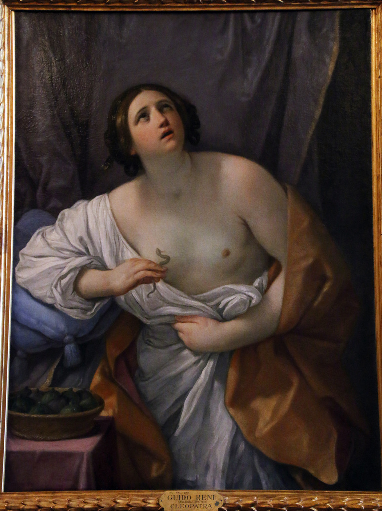Les derniers instants de Cléopâtre , par Guido Reni , un des plus grands peintres du 17ème siècle - Musée de Florence  .