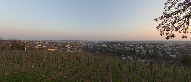 Blick vom Neroberg