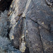 Parowan Gap petroglyphs (1803)