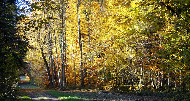 otoño