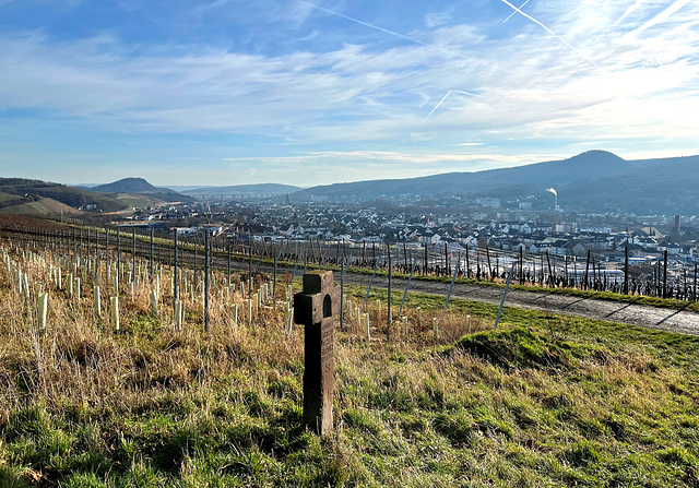 Weinbergsspaziergang