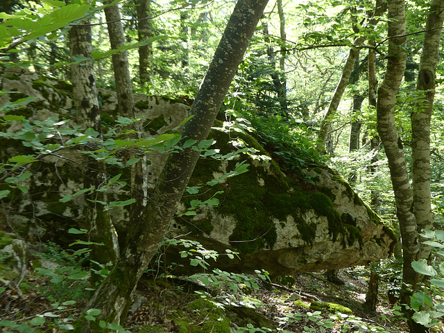 20240628 -0711 Miscon (471)