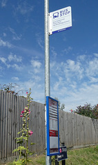 HFF: Bus Stop in Bury St. Edmunds - 30 Jul 2024 (P1180930)