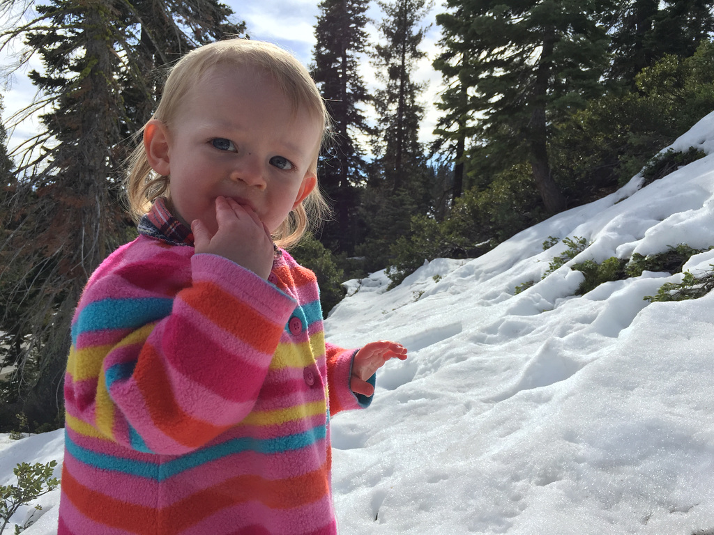 Discovering Snow #2