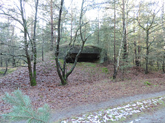 Bunker im Wald