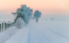 Hinterm Nebel geht's weiter