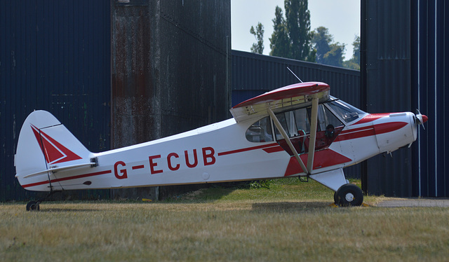 Cub ECUB 2