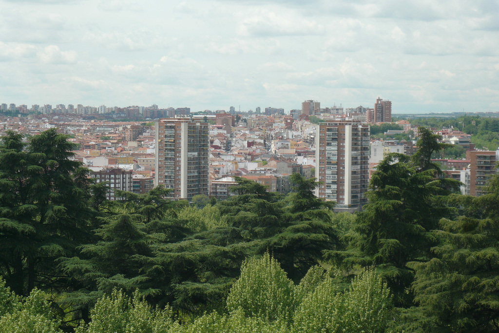 View From The Palace