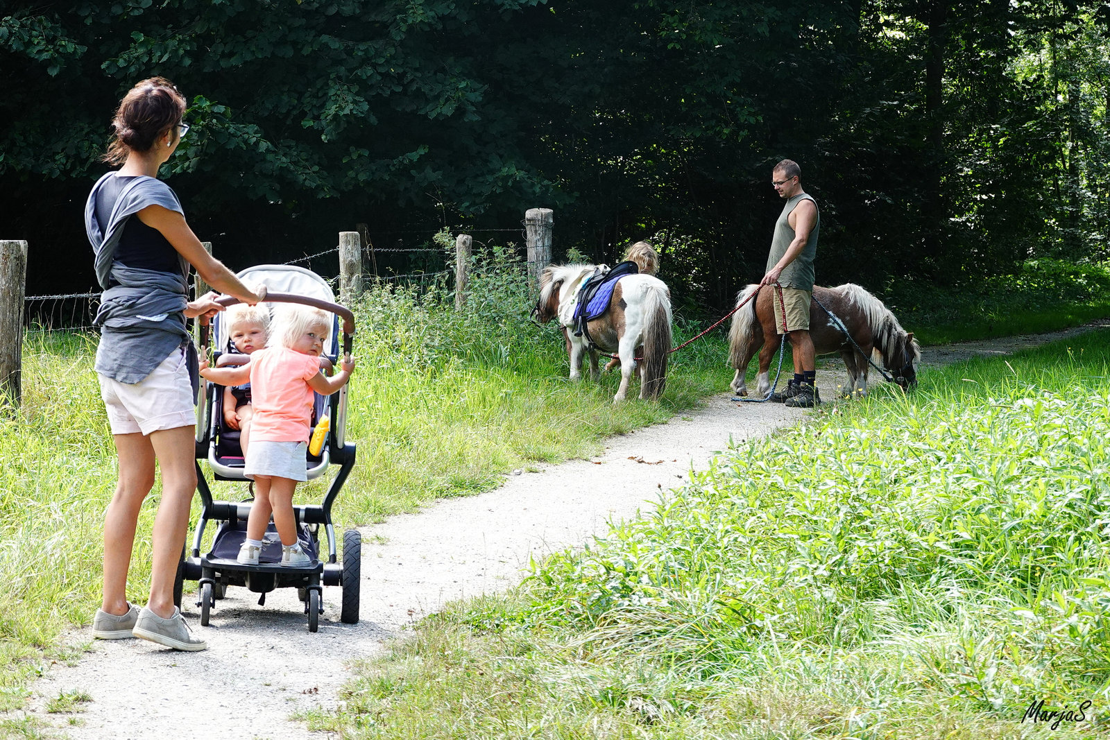 Family walk